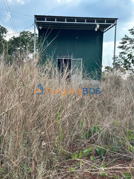 Đất Tặng Nhà Tôn 240m² Tổ 8 Nghĩa Phú - Giá 550 Triệu