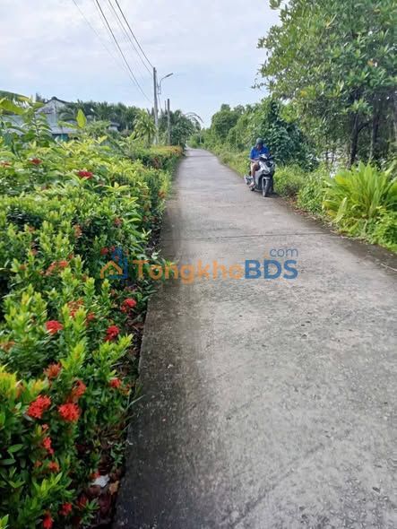 Đất nền Trần Thới 252m² 30.24 tỷ - Sổ đỏ chính chủ