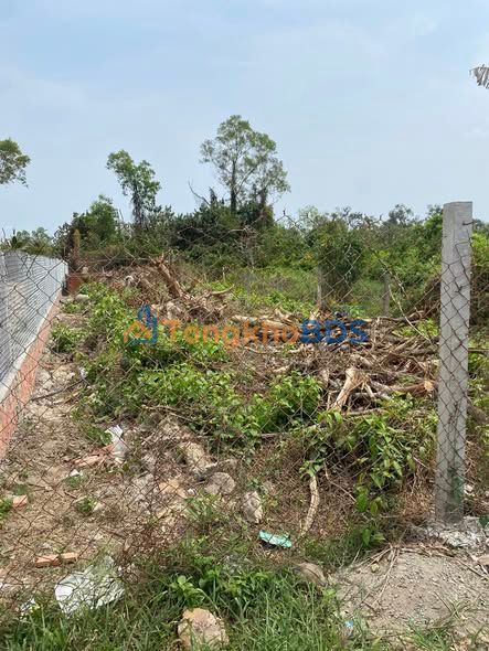 Bán đất vườn cao su 547.5m² tại Hà Tiên - Giá tốt 1.25 tỷ