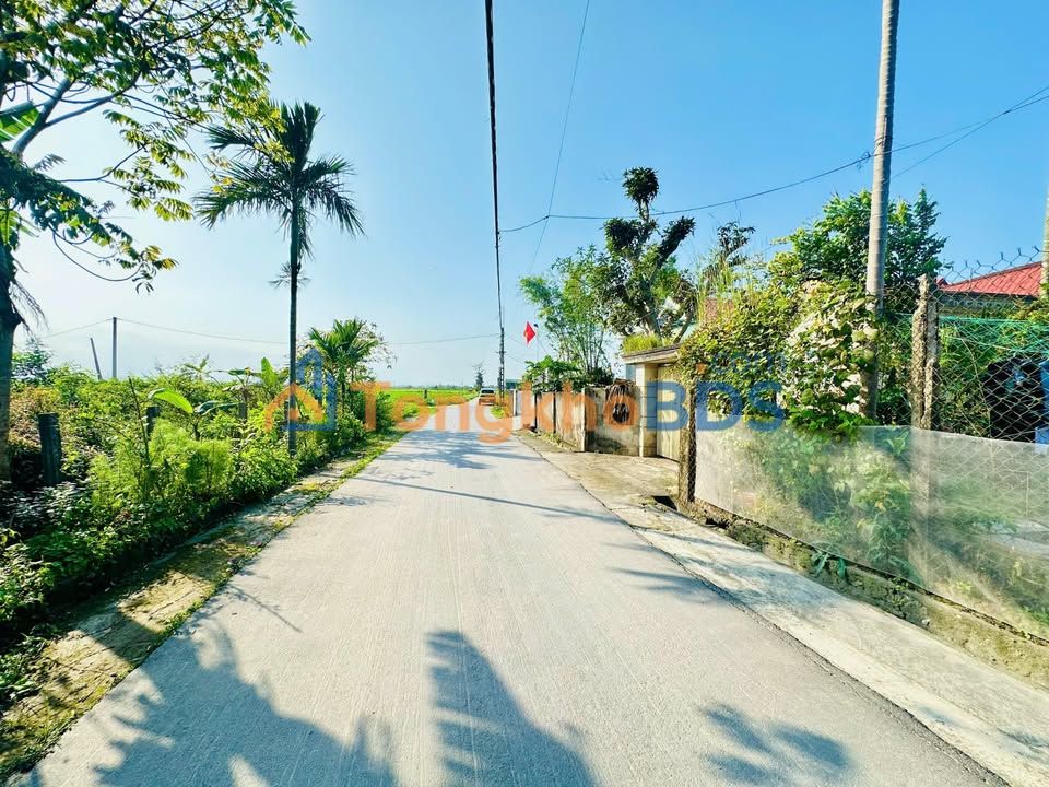 Đất 3 Mặt Tiền Bùi Xá, Việt Tiến (578m²) - Tiềm Năng Kinh Doanh Lớn Gần VISIP