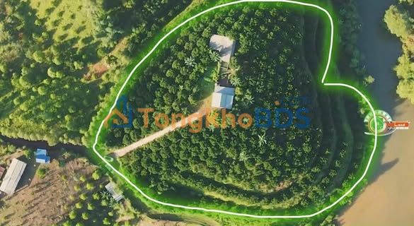 Bán Đất Farm Hòa Bình 15800m² - Đồi Trái Tim, Sổ Đỏ, Tặng Nhà & Cây Ăn Quả