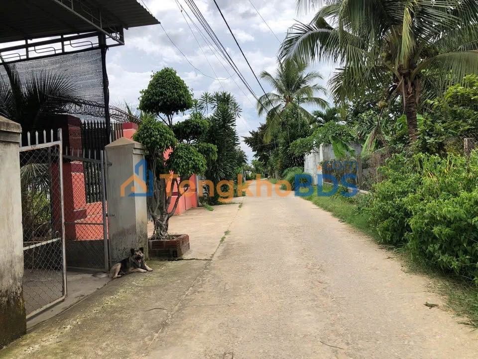 Bán Gấp Đất Thổ Cư 192m² Xã Vinh Quang, Kon Tum - Giá Tốt