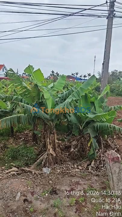 Đất nền Hải Hậu - Nam Định 185m² full thổ cư, kinh doanh đắc lợi