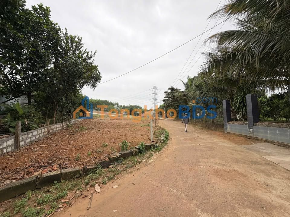 Đất Nền Lô Góc 181m² Hòa Phú, Đà Nẵng - Giá Hơn 1 Tỷ, Sát Khu TM Tự Do