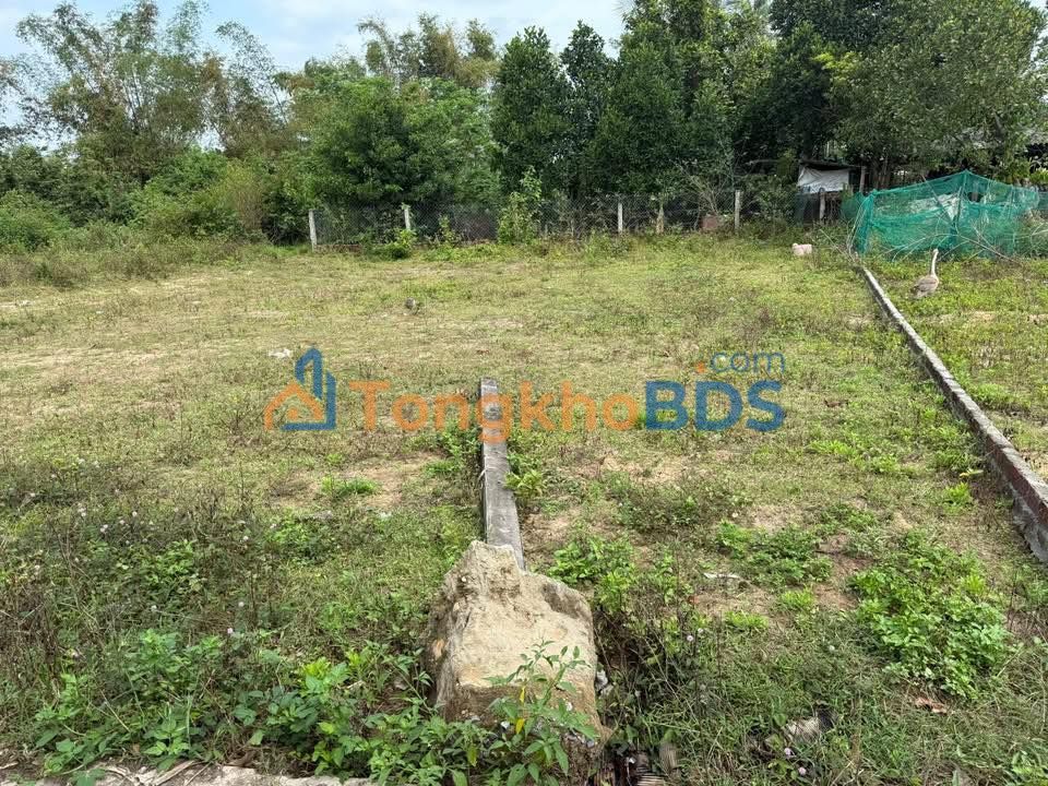 Đất Nền Sổ Hồng Vuông Vắn 100m² Tại Điện Bàn - Giá 1.0x Tỷ