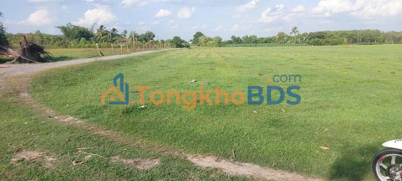 Bán Gấp Đất Vườn 15.000m² Lộc Hưng, Tây Ninh - View Kênh Đẹp, Giá Đầu Tư