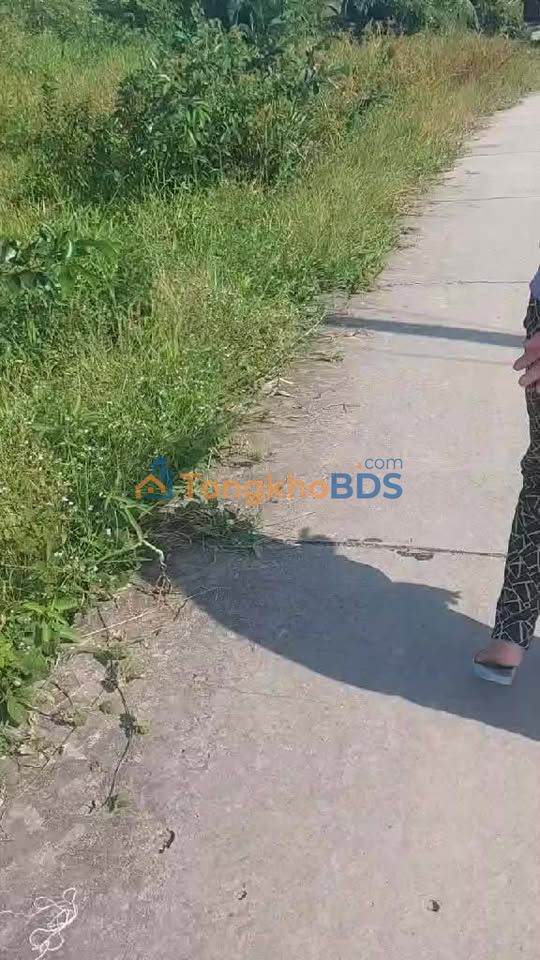 Đất nền Xã Vĩnh Phước A 13.000m² 110 triệu - Đầu tư dài hạn