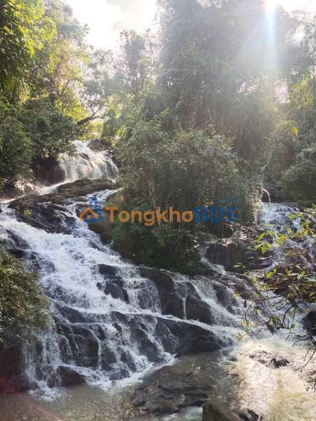 Đất Nông Nghiệp 7500m² Gần Suối Thác Liliang, Di Linh - Giá Đầu Tư 2.95 Tỷ