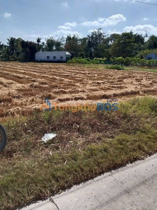 Bán Đất Mặt Tiền Lộ Dal Huyện Lộ 29 Sóc Trăng - 240m² Giá 250 Triệu