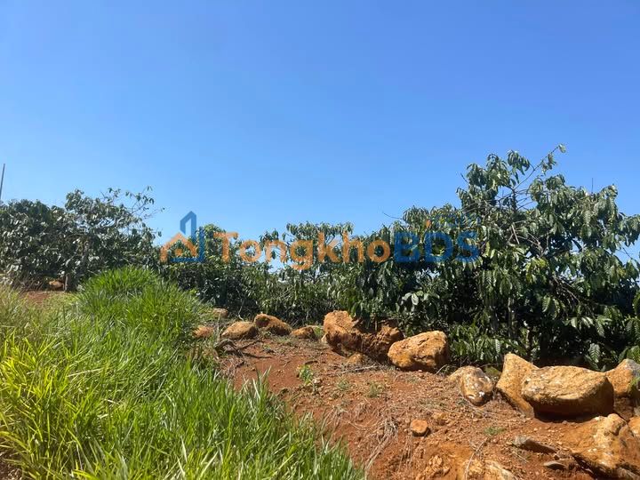 Đất nền Lâm Đồng 3.76 tỷ - Sổ hồng sẵn, mặt đường bê tông 60m