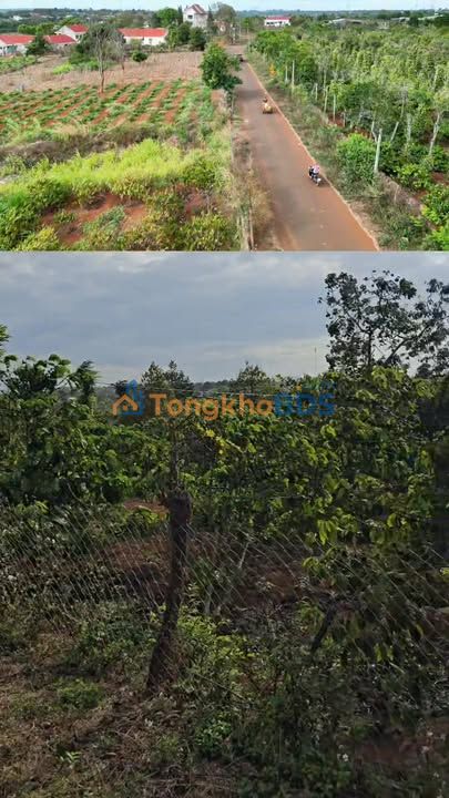 Đất Vườn Gia Lai 21.972m² Mặt Tiền Nhựa Siêu Rộng - Giá Đầu Tư 1.67 Tỷ