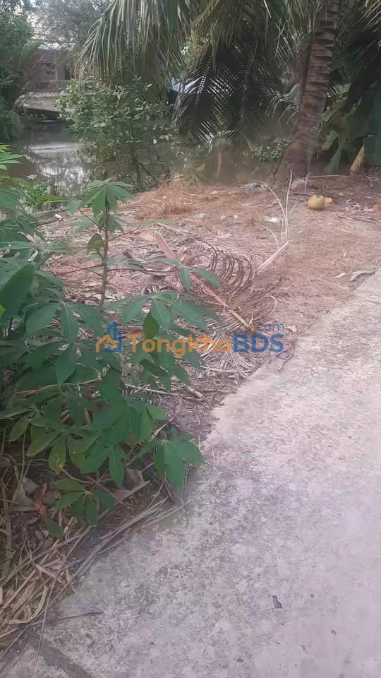 Đất Vàng Gò Quao, Kiên Giang - 1296m² Sổ Đỏ Chính Chủ