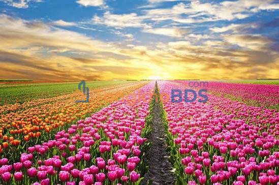 Đất nền Vĩnh Phương Nha Trang 109m² 800 triệu - Sổ đỏ