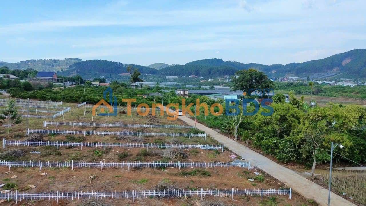 Đất Nam Ban 164m² - Sổ Sẵn 699 Triệu, Gần Đà Lạt!