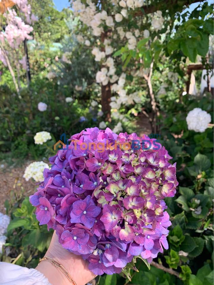 Đất hẻm Lê Duẩn Q1 94m² 1.15 tỷ - Sổ đỏ chính chủ