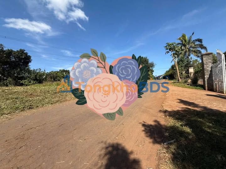 Đất nền mặt tiền đường nhựa Krông Búk, Đắk Lắk - 120m² giá 520 triệu