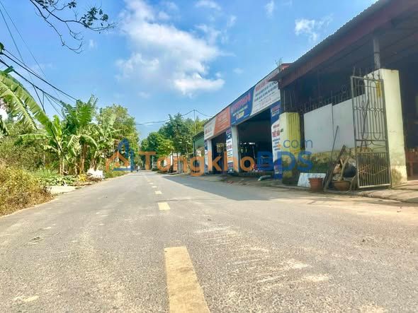 Đất nền Hoàng Hoa Tam Dương 104m² 1.2 tỷ - Vị trí đắc địa