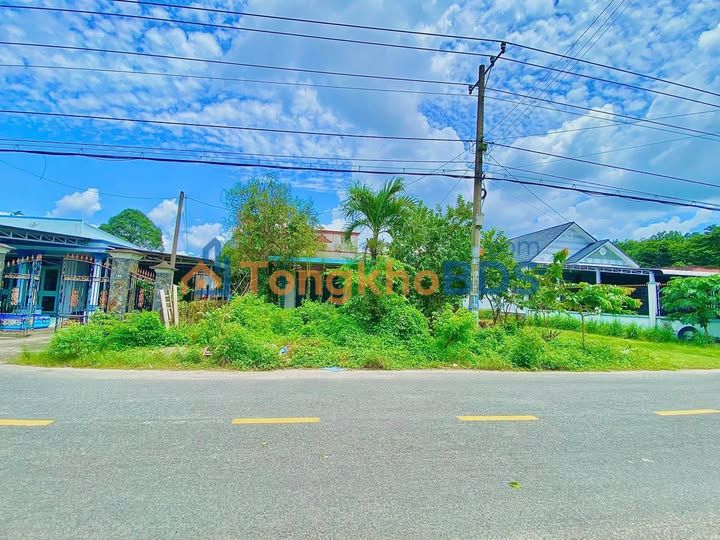 Đất Vàng Củ Chi 3500m² Mặt Tiền Phú Thuận - Sổ Đỏ Thổ Cư Sẵn Sàng