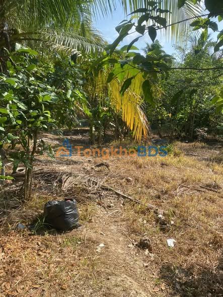 Nhà Mặt Tiền Huỳnh Tấn Phát, Châu Thành - 251m² Kinh Doanh Dòng Tiền 12 Triệu/Tháng