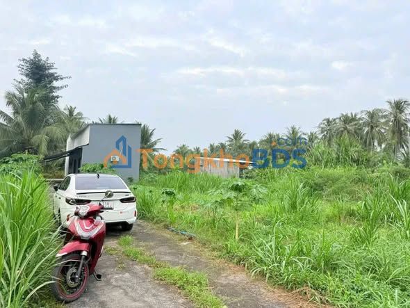 Bán Đất Phú Tân Bến Tre 506m² - 980 Triệu, Sổ Đỏ Đất Ở