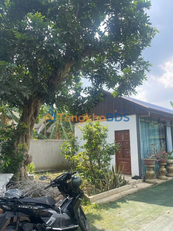 Nhà Vườn An Viễn 980m² - Sẵn Sàng An Cư, Vườn Trái Cây Trĩu Quả