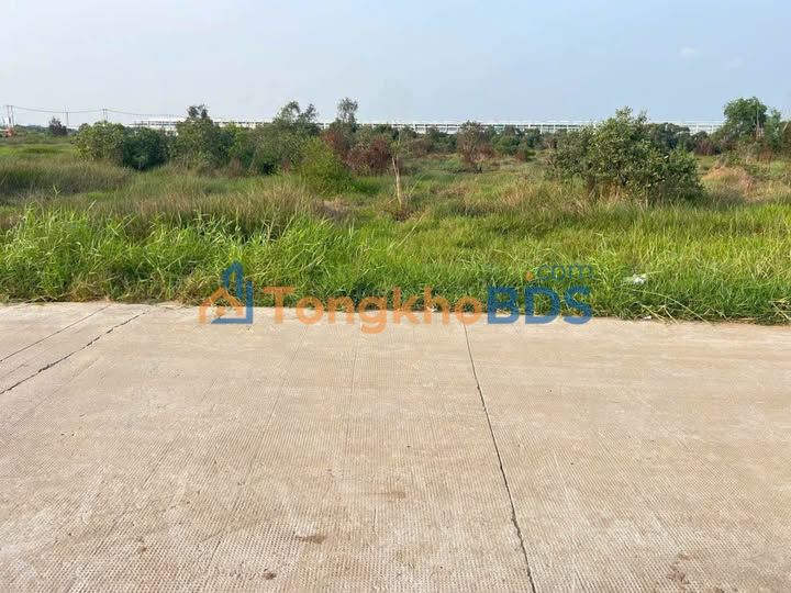 Đất Nền Sổ Hồng Riêng 150m² Đức Hòa - Gần Vinhomes, KCN Đức Hòa 3