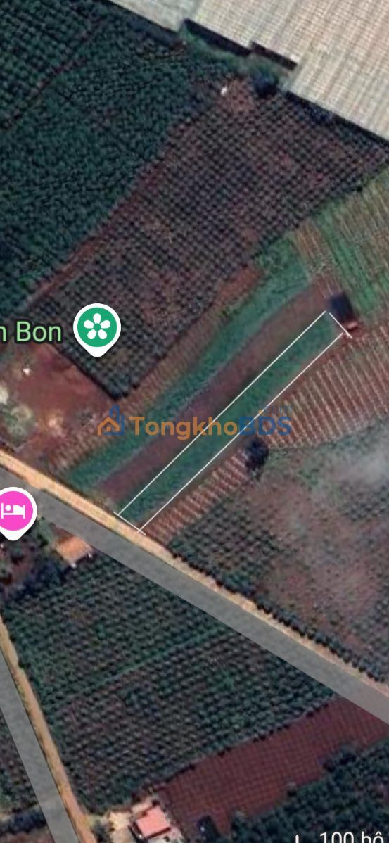 Đất Nền Tân Hà, Lâm Hà - 300m² Thổ Cư, Sổ Sẵn, Giá Tốt!