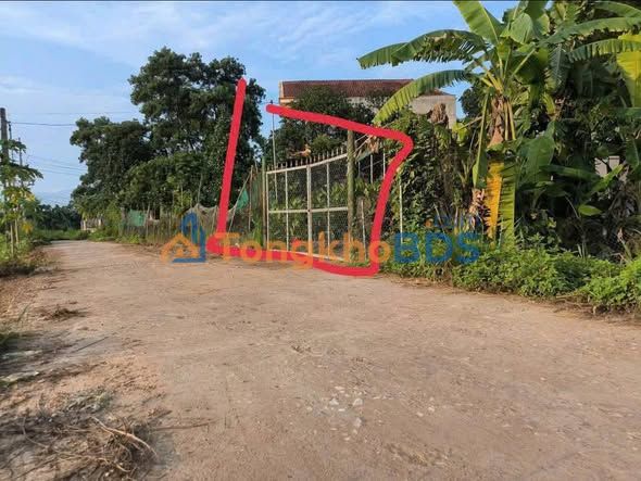 Đất nền Hoàng Sơn Tử Du 155m² 1 tỷ - Sổ đỏ chính chủ