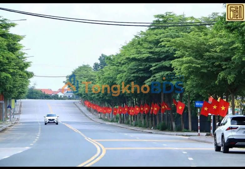 Đất Đấu Giá Hạ Mỗ - 80m² Đan Phượng, Sẵn Sàng Đầu Tư & An Cư