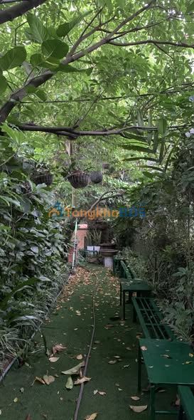 Cho thuê phòng dạy học tại Gia Lâm - Hà Nội, giá tốt