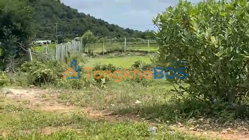 Đất Vườn 8000m² Cạnh QL1A, Cam Ranh - Tiềm Năng Đầu Tư Vượt Trội