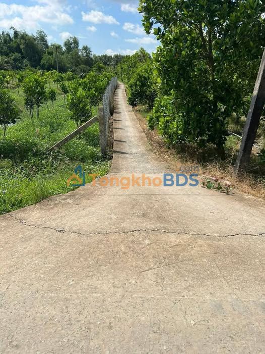 Bán Đất Vườn Long An 771m² - Giá Đầu Tư 420 Triệu