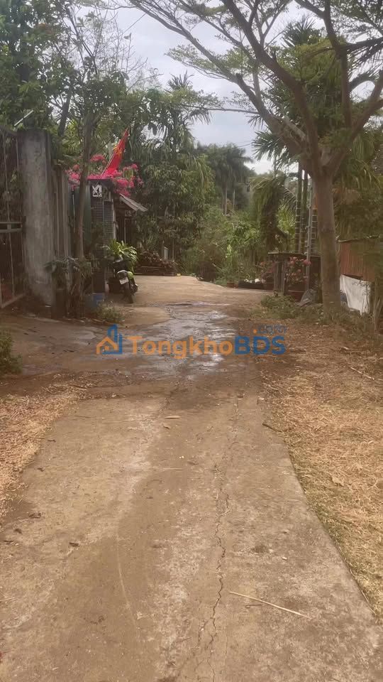 Nhà nguyên căn 162 Nguyễn Thị Định 60m² 2.5 triệu - Sẵn ở ngay