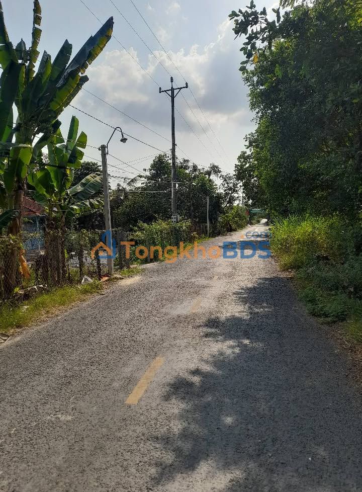 Bán Đất Nền 627m² Mặt Tiền Lộ Số 3, Lai Vung - Sổ Hồng Riêng