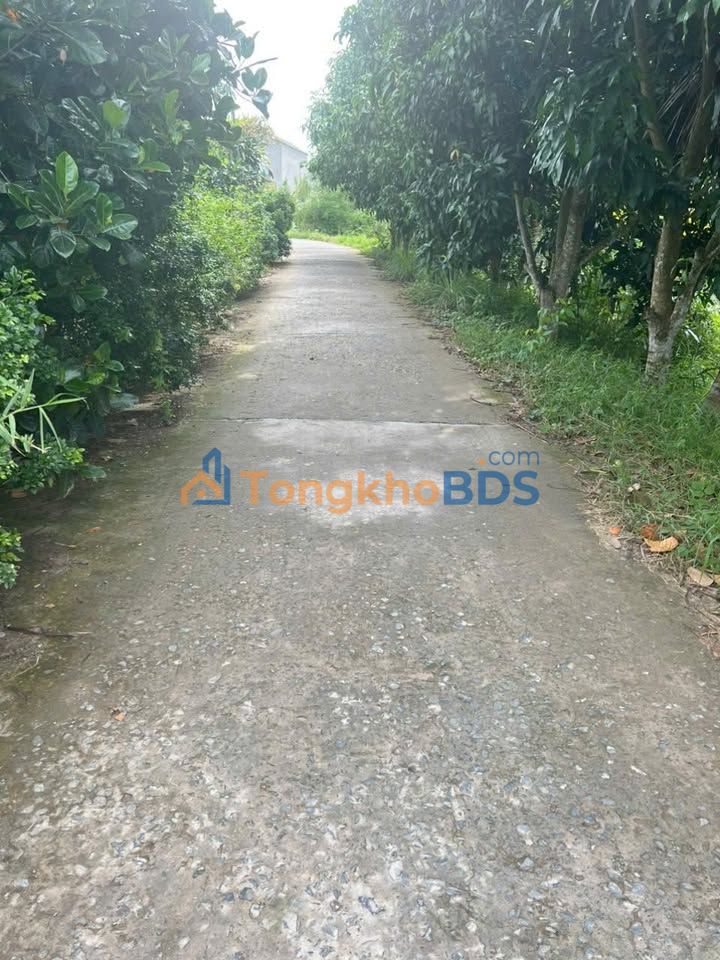 Đất Nền Đường Mương Khai, Cao Lãnh - 109m² Thổ Cư, Giá 900 Triệu