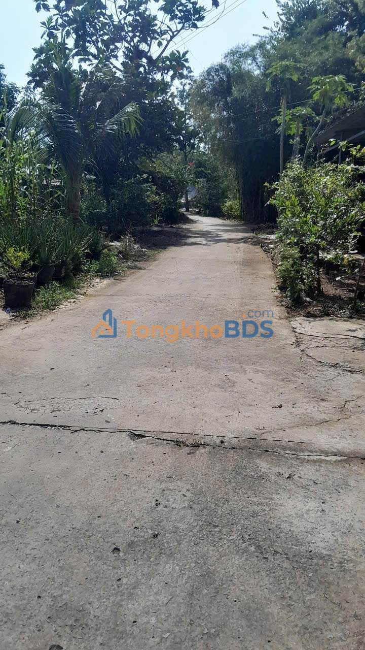 Bán Gấp Ruộng Vàng Đồng Tháp - 23.400m² Mặt Tiền Đường 33m