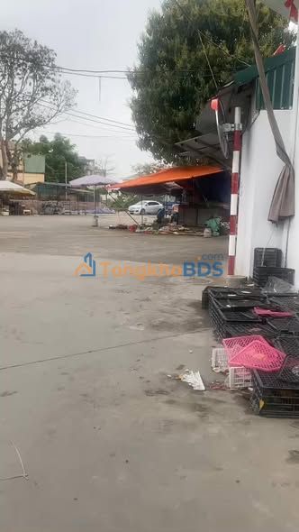 Đất Nguyễn Trãi Thường Tín 92m² thỏa thuận - Đường to ô tô