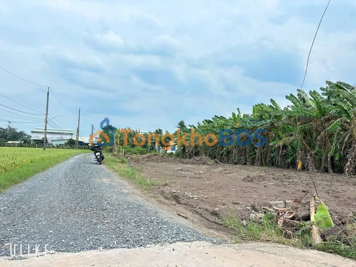 Đất nền Bình Lãng Tân Trụ 110m² giá 380tr - Sổ hồng sẵn