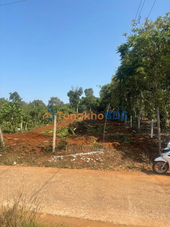 Bán đất mặt đường Bê Tông 846m² tại Buôn Hồ, Đắk Lắk - Giá 4.5 tỷ