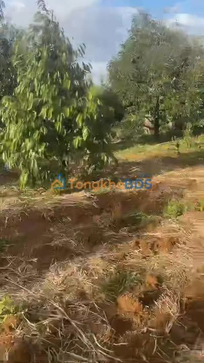 Bán Gấp Farm 1.3ha Ea Kar - 100 Cây Ăn Quả, Nhà Ở Sẵn Sàng