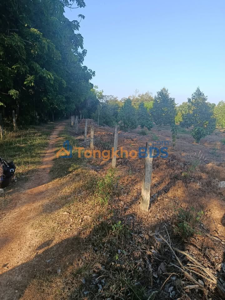 Đất Vàng Ea Knốp, Đắk Lắk - 17280m² Sổ Đỏ, Hướng Đông, Gần Trục Chính