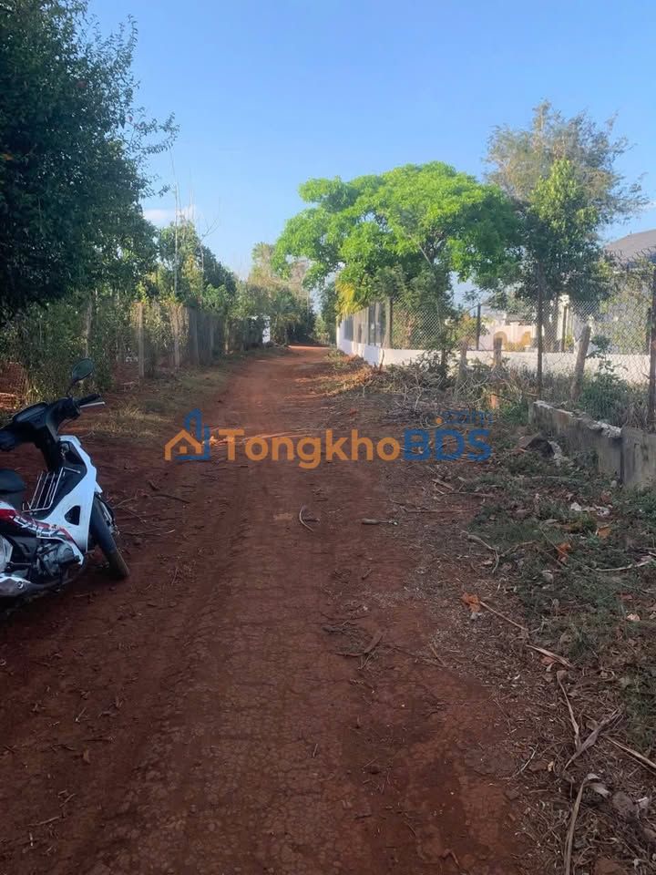 Đất Nền Buôn Pan 300m² - Đón Đầu Quy Hoạch Đường 26m, Giá Đầu Tư 1.47 Tỷ