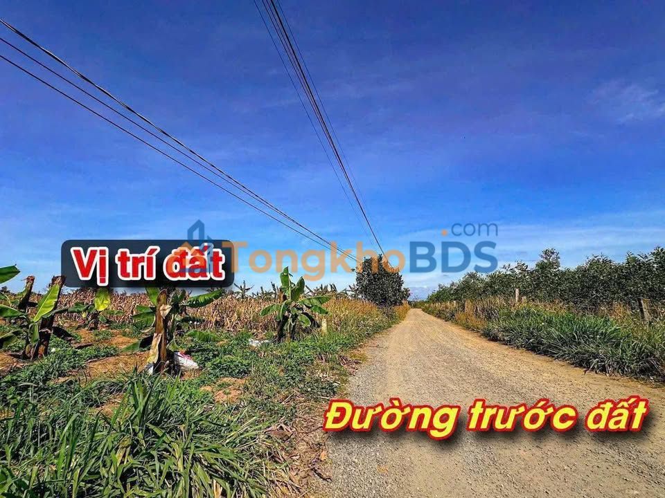 Đất Nền Buôn Ma Thuột 532m² Full Thổ Cư Giá 599 Triệu - Sổ Đỏ Chính Chủ