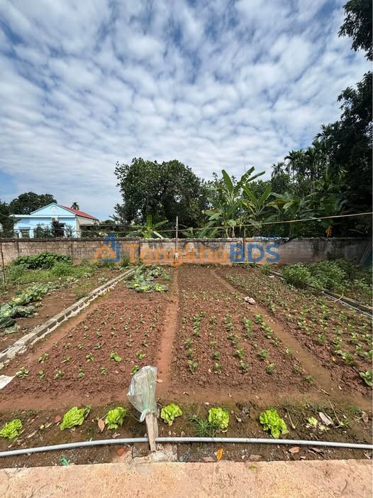 Đất nền Phù Vân Phủ Lý 68m² 900 triệu - Sổ đỏ chính chủ