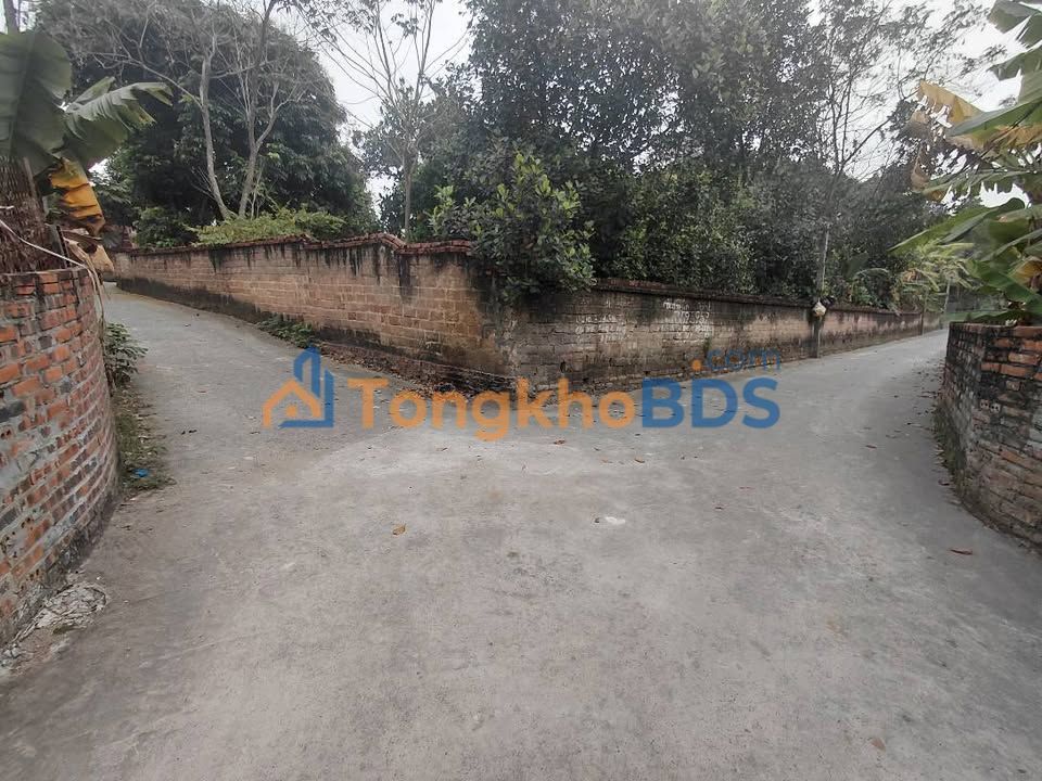 Đất nền 160m² hai mặt tiền Thụy Vân, Việt Trì - Giá 1.5 tỷ