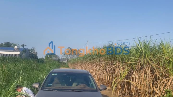 Đất Nền Nghĩa Thắng, Đắk Nông - 216m² Đường Bê Tông Giá Rẻ Chỉ 2xx Triệu