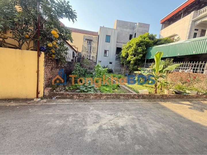 Đất nền 63m² Gia Lâm - Ô tô vào tận đất, gần Vinhomes Ocean Park