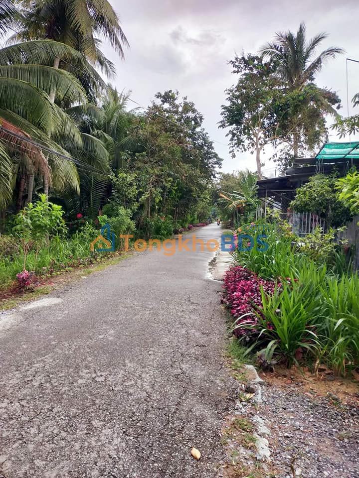 Bán Đất Vườn 1202m² Mặt Tiền Lộ Nhựa Giồng Trôm, Bến Tre - Giá 2.28 Tỷ