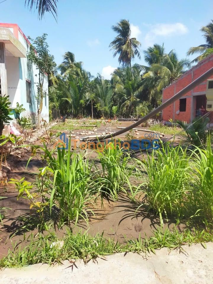 Đất thổ cư 455.9m² Xã Sơn Phú, Giồng Trôm - Sổ đỏ, Giá 600 triệu