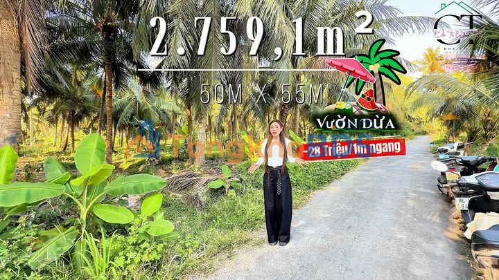 Bán Gấp Vườn Dừa 2759m² Mặt Tiền Nhựa Lớn, Vĩnh Long - Giá Tốt